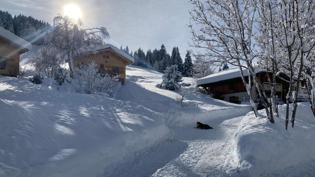 Chalets Savoie Les Chalets D'Heidi Notre-Dame-de-Bellecombe Exterior foto