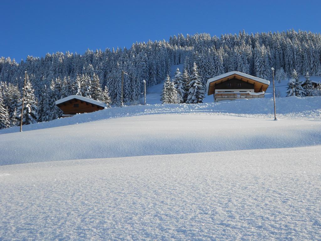 Chalets Savoie Les Chalets D'Heidi Notre-Dame-de-Bellecombe Exterior foto
