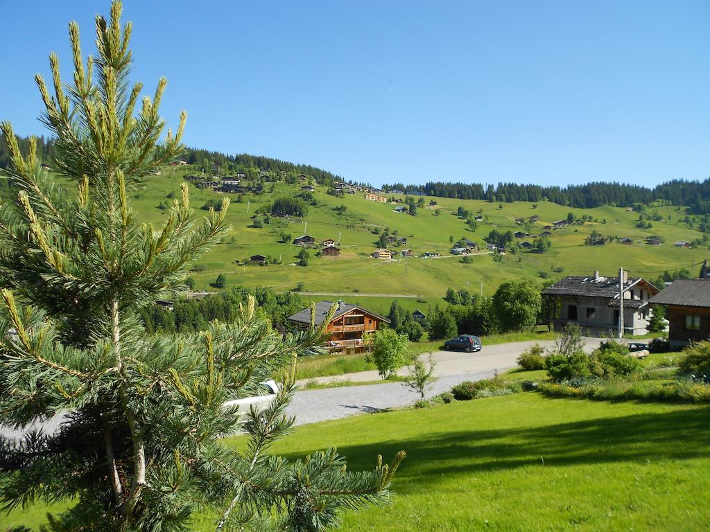 Chalets Savoie Les Chalets D'Heidi Notre-Dame-de-Bellecombe Exterior foto