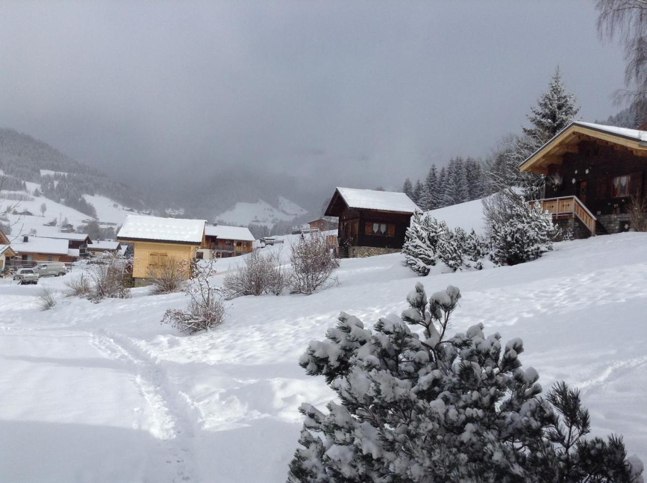 Chalets Savoie Les Chalets D'Heidi Notre-Dame-de-Bellecombe Exterior foto